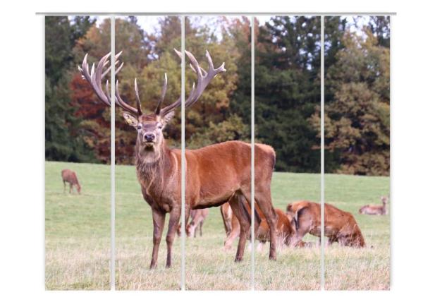 Hirscherlebnis, Flächenvorhang 5er Set